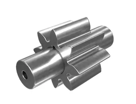 Water Pump & Oil Pump