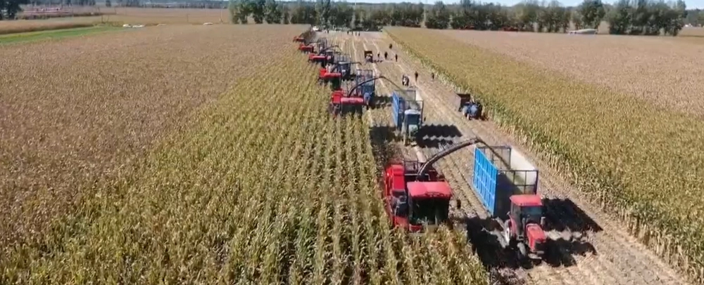 Harvesters Video