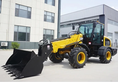 Telescopic Loader